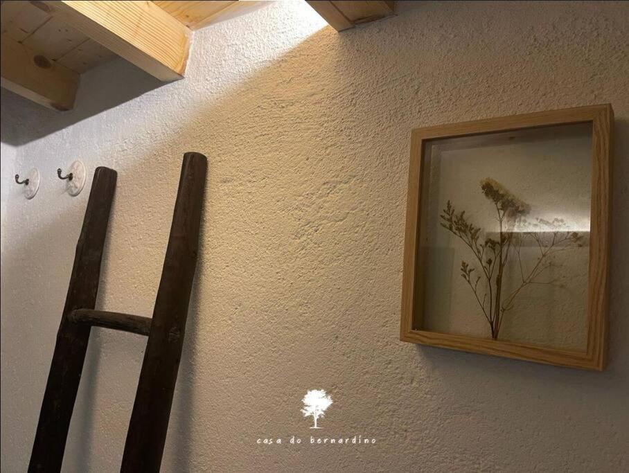 הוילה Cabril  Casa Do Bernardino מראה חיצוני תמונה